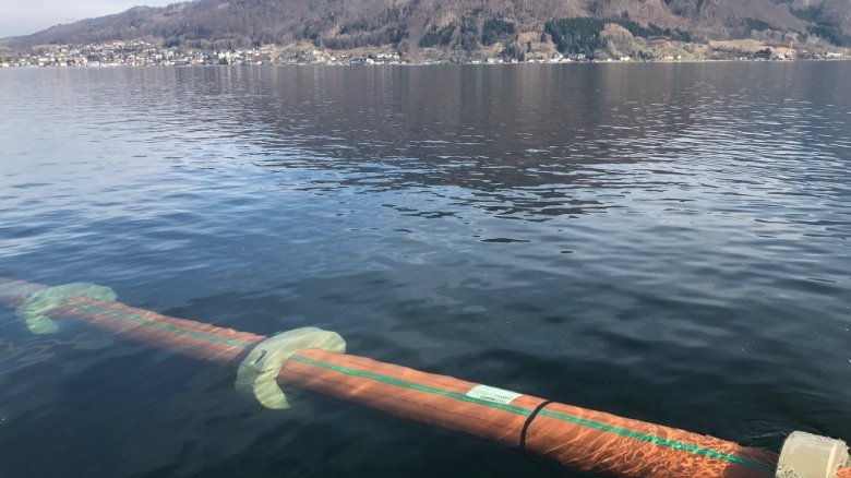 Thanks to the concrete weights, the flooded pipe-line gently sinks to the bottom of the Traunsee. In the steep slope area PEER Wasserbau GmbH & Co. KG anchors the line additionally.