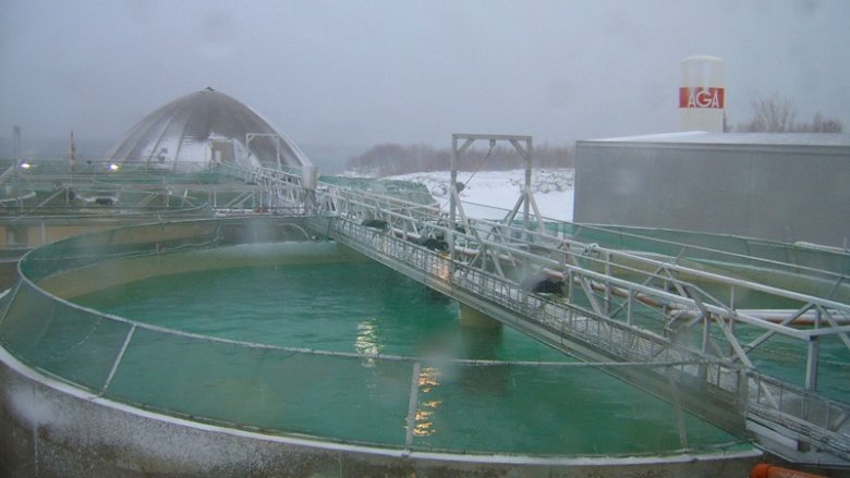 Fischfarm in Norwegen
