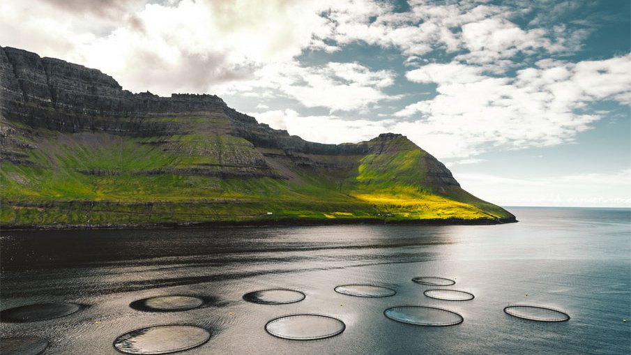 PE 100-RC pipes for floating fish farming cages and aquaculture water systems