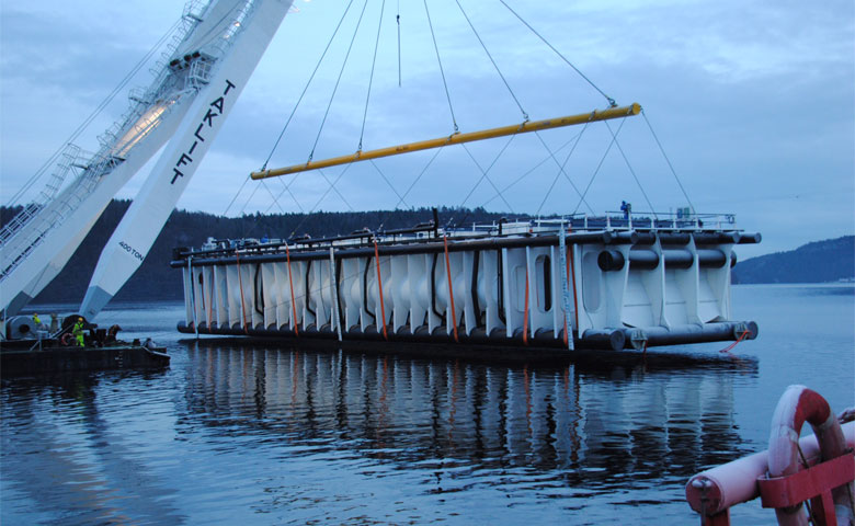 Semi-finished products: Floating fish farms and fish tanks on land