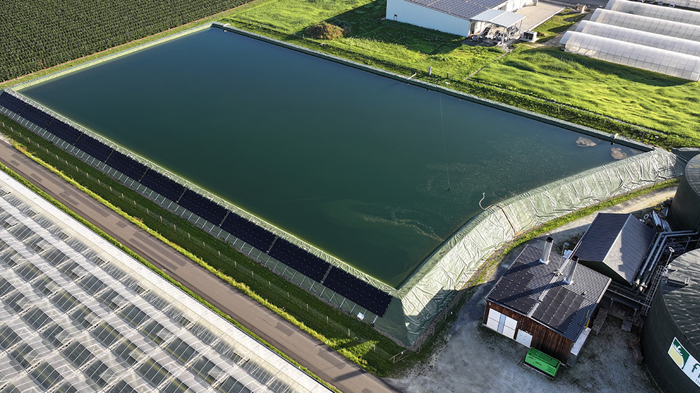 Luftaufnahme eines gefüllten Speicherbeckens mit dunkler Wasserfläche, umgeben von Gewächshausanlagen und Grünstreifen.