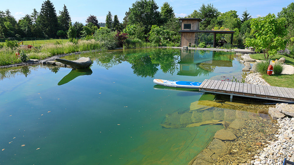 Naturpool im Garten mit klarem Wasser, Holzsteg und Steinen, umgeben von Rasen, Bäumen und kleinem Gartenhaus