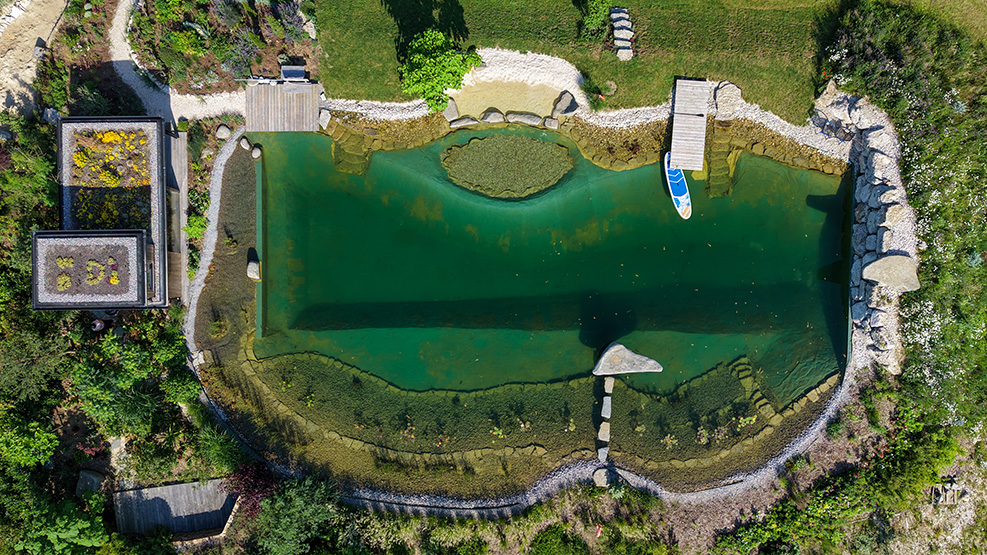 Luftaufnahme eines Naturpools im Garten, mit grünem Wasser, Holzstegen, Steinen und bepflanzten Becken am Rand